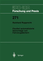 Reinhard Rupprecht - Flexibel automatisierte Demontage von Fahrzeugdächern