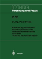 Pavel Svejda - Berechnung charakteristischer Spritzbild- und Qualitätsmerkmale beim Lackieren