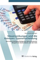 David Schulte-Herbrüggen - Steuersenkungen und die Konsum-/ Sparentscheidung