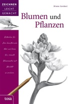 Diane Cardaci - Blumen und Pflanzen