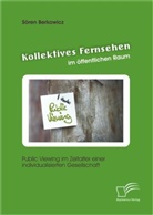 Sören Berkowicz - Kollektives Fernsehen im öffentlichen Raum