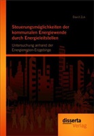 David Zuk - Steuerungsmöglichkeiten der kommunalen Energiewende durch Energieleitstellen