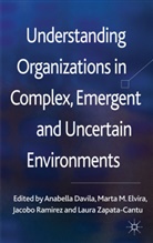 Anabell Davila, Anabella Davila, Anabella Elvira Davila, DAVILA ANABELLA ELVIRA MARTA RAM, Mart Elvira, Marta Elvira... - Understanding Organizations in Complex, Emergent and Uncertain