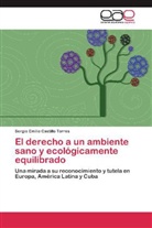 Sergio Emilio Castillo Torres - El derecho a un ambiente sano y ecológicamente equilibrado