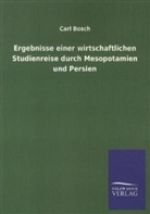 Carl Bosch - Ergebnisse einer wirtschaftlichen Studienreise durch Mesopotamien und Persien