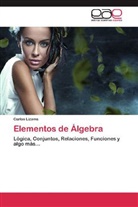 Carlos Lizama - Elementos de Álgebra
