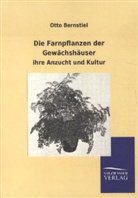 Otto Bernstiel - Die Farnpflanzen der Gewächshäuser