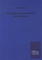 Fritz Haber - Thermodynamik technischer Gasreaktionen