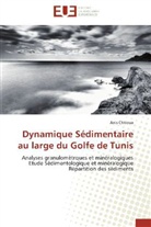 Anis Chkioua, Chkioua-a - Dynamique sedimentaire au large