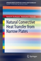 Abdulrahim Kalendar, Abdulrahim Y. Kalendar, Patrick Oosthuizen, Patrick H Oosthuizen, Patrick H. Oosthuizen - Natural Convective Heat Transfer from Narrow Plates