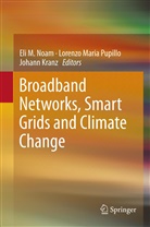 Johann J Kranz, Johann Kranz, Johann J. Kranz, Lorenz Maria Pupillo, Lorenzo Maria Pupillo, Eli M. Noam... - Broadband Networks, Smart Grids and Climate Change