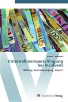 Bastian Tippkemper - Unternehmenszerschlagung bei Insolvenz