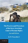 Jo M Pasqualucci, Jo M. Pasqualucci, Jo M. (University of South Dakota) Pasqualucci, PASQUALUCCI JO M, Pasqualucci Jo M. - Practice and Procedure of the Inter-American Court of Human Rights