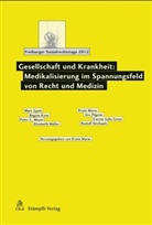 Erwi Murer, Erwin Murer - Gesellschaft und Krankheit: Medikalisierung im Spannungsfeld von Recht und Medizin
