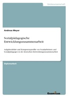 Andreas Meyer - Sozialpädagogische Entwicklungszusammenarbeit