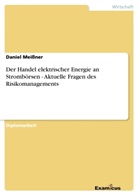 Daniel Meissner - Der Handel elektrischer Energie an Strombörsen - Aktuelle Fragen des Risikomanagements