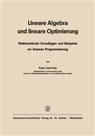 Franz Josef Fay - Lineare Algebra und lineare Optimierung
