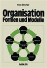 Knut Bleicher - Organisation - Formen und Modelle