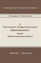 W Schmickler, W. Schmickler, Vielstich, W Vielstich, W. Vielstich - Elektrochemie II