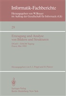J Pöppl, S J Pöppl, PLATZER, Platzer, H. Platzer, S. J. Pöppl - Erzeugung und Analyse von Bildern und Strukturen