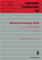 Geor Hartmann, Georg Hartmann - Mustererkennung 1986