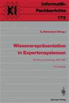 Gerhar Rahmstorf, Gerhard Rahmstorf - Wissensrepräsentation in Expertensystemen