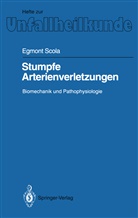 Egmont Scola - Stumpfe Arterienverletzungen