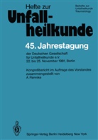 A. Pannike - 45. Jahrestagung der Deutschen Gesellschaft für Unfallheilkunde e.V.