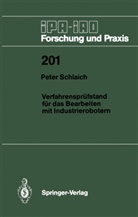 Peter Schlaich - Verfahrensprüfstand für das Bearbeiten mit Industrierobotern