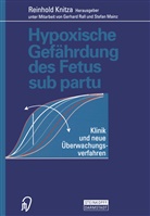 Knitza, R Knitza, R. Knitza - Hypoxische Gefährdung des Fetus sub partu