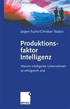 Jürge Fuchs, Jürgen Fuchs, Christian Stolorz - Produktionsfaktor Intelligenz