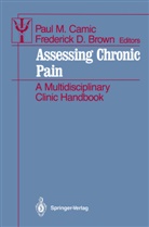 Frederick D. Brown, Paul M. Camic, D Brown, D Brown, Pau M Camic, Paul M Camic - Assessing Chronic Pain