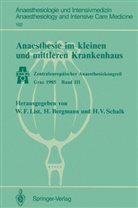 Han Bergmann, Hans Bergmann, Werner F. List, Hanns V. Schalk, Hanns V Schalk - Anaesthesie im kleinen und mittleren Krankenhaus