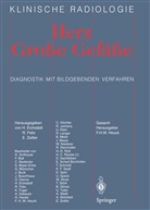 H. Eichstädt, Felix, R Felix, R. Felix, E Zeitler, E. Zeitler - Herz Grosse Gefässe