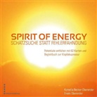 Kornelia Becker-Oberender, Erwin Oberender - Spirit of Energy, Schatzsuche statt Fehlerfahndung, m. 62 Ktn.