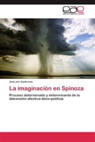 Joel Jair Contreras - La imaginación en Spinoza