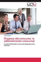 Jesús Quijano - Órganos del concurso: la administración concursal