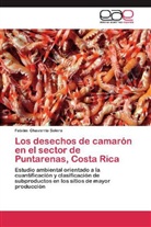 Fabián Chavarría Solera - Los desechos de camarón en el sector de Puntarenas, Costa Rica