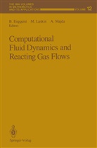 Bjorn Engquist, Mitchel Luskin, Mitchell Luskin, Andrew Majda - Computational Fluid Dynamics and Reacting Gas Flows