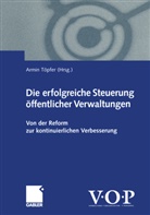 Armi Töpfer, Armin Töpfer - Die erfolgreiche Steuerung öffentlicher Verwaltungen