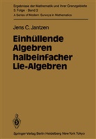 J C Jantzen, J. C. Jantzen - Einhüllende Algebren halbeinfacher Lie-Algebren