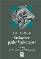 Herbert Meschkowski - Denkweisen großer Mathematiker