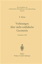 Felix Klein, Walter Rosemann - Vorlesungen über Nicht-Euklidische Geometrie
