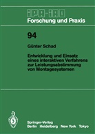 Günter Schad - Entwicklung und Einsatz eines interaktiven Verfahrens zur Leistungsabstimmung von Montagesystemen