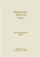 Davi Kinderlehrer, David Kinderlehrer - Hans Lewy Selecta