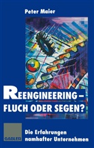 Pete Maier, Peter Maier - Reengineering - Fluch oder Segen?