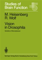 Heisenberg, M Heisenberg, M. Heisenberg, R Wolf, R. Wolf - Vision in Drosophila