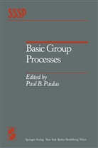 B Paulus, P B Paulus, P. B. Paulus, Paul Paulus - Basic Group Processes