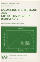 Kafatos, M. Kafatos, Mena Kafatos, Menas Kafatos, KONDO, Kondo... - Examining the Big Bang and Diffuse Background Radiations