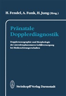 Heinrich Fendel, Andrea Funk, Andreas Funk, H Hung, H. Hung - Pränatale Dopplerdiagnostik